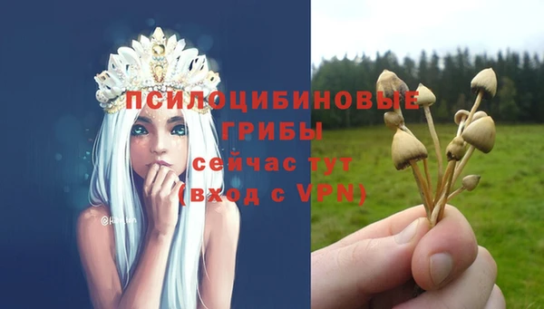 ALPHA-PVP Нягань