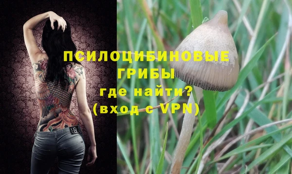 стаф Нязепетровск