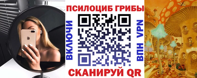Галлюциногенные грибы мицелий купить наркотик Новая Ляля